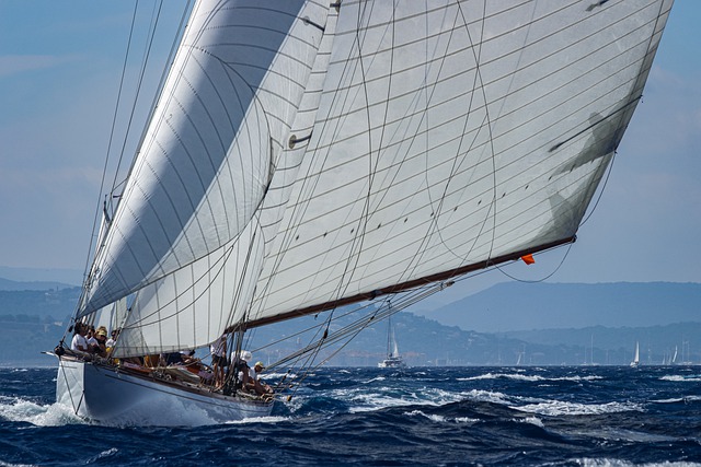 Na naszej stronie internetowej sailstore.pl możemy wyszukać najwyższej jakości ofertę dotyczącą elektroniki pływających jednostek! 2022